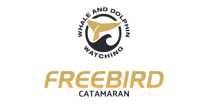 Logo de Freebird Catamarán